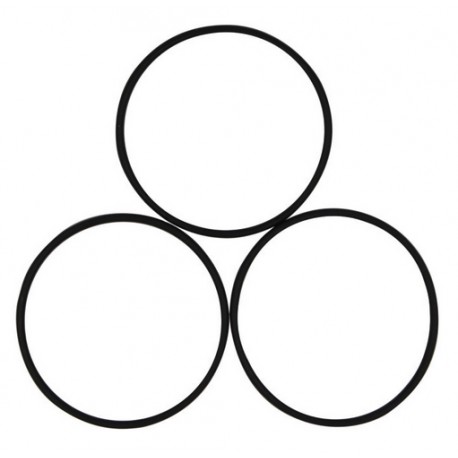 Joints de rechange pour brides 3"